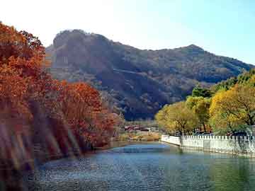 新奥2025天天开好彩和管家和100管家婆中奖概率，留心误导的假幌子链