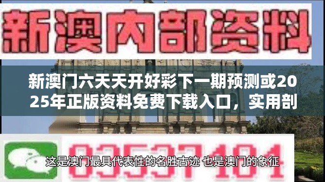 第229页