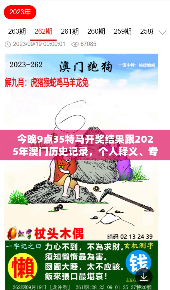 特马开奖结果 第5页