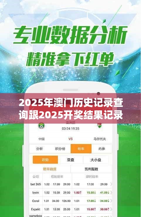 2025年澳门历史记录查询跟2025开奖结果记录查询，典型释义、专家解析解释与落实?小心误导宣传风险