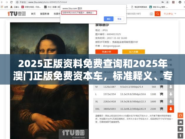 2025正版资料免费查询和2025年澳门正版免费资本车，标准释义、专家解读解释与落实?留心虚假的虚架势
