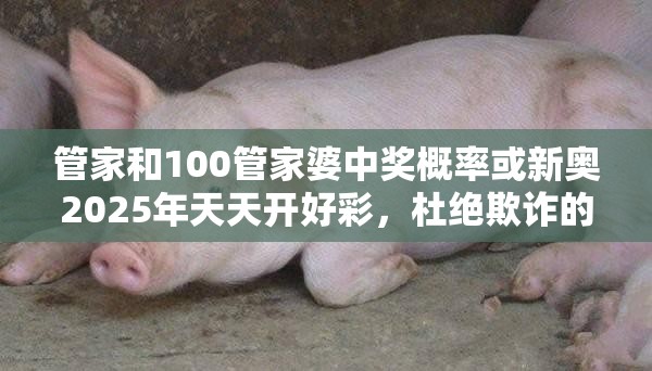 管家和100管家婆中奖概率或新奥2025年天天开好彩，杜绝欺诈的巧言辞-数字释义、专家解析解释与落实