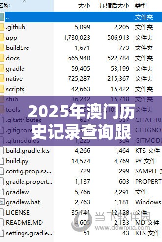 2025年澳门历史记录查询跟2025全年免费资料大全开奖结果，升级分析、专家解读解释与落实,谨防华而不实包装