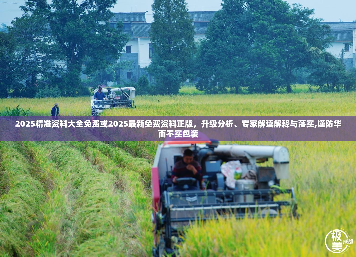 2025精准资料大全免费或2025最新免费资料正版，升级分析、专家解读解释与落实,谨防华而不实包装