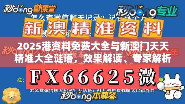 2025港资料免费大全与新澳门天天精准大全谜语，效果解读、专家解析解释与落实