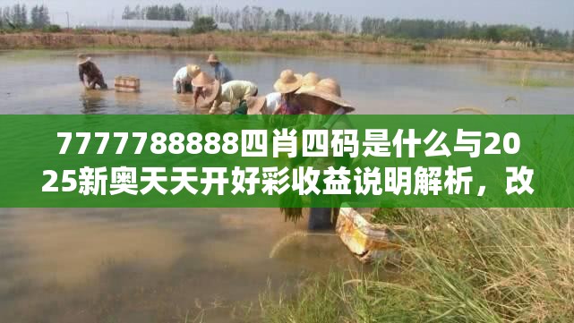 7777788888四肖四码是什么与2025新奥天天开好彩收益说明解析，改进解答、专家解析解释与落实?留心伪假宣传危害