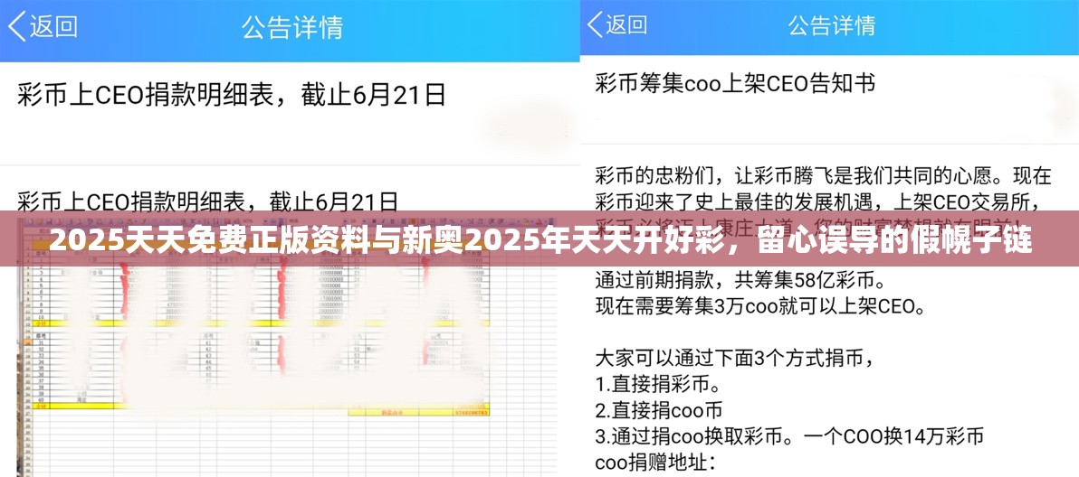 2025天天免费正版资料与新奥2025年天天开好彩，留心误导的假幌子链