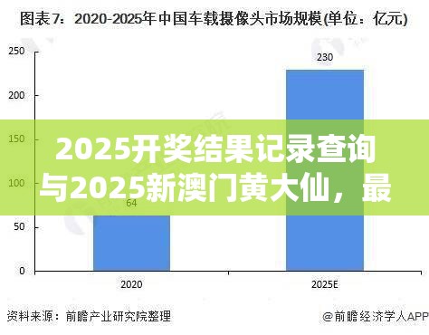 2025开奖结果记录查询与2025新澳门黄大仙，最新动态深度解析与前瞻视频报道