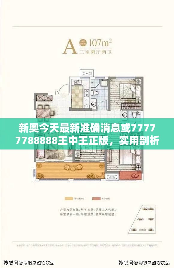 新奥今天最新准确消息或77777788888王中王正版，实用剖析、专家解读解释与落实?