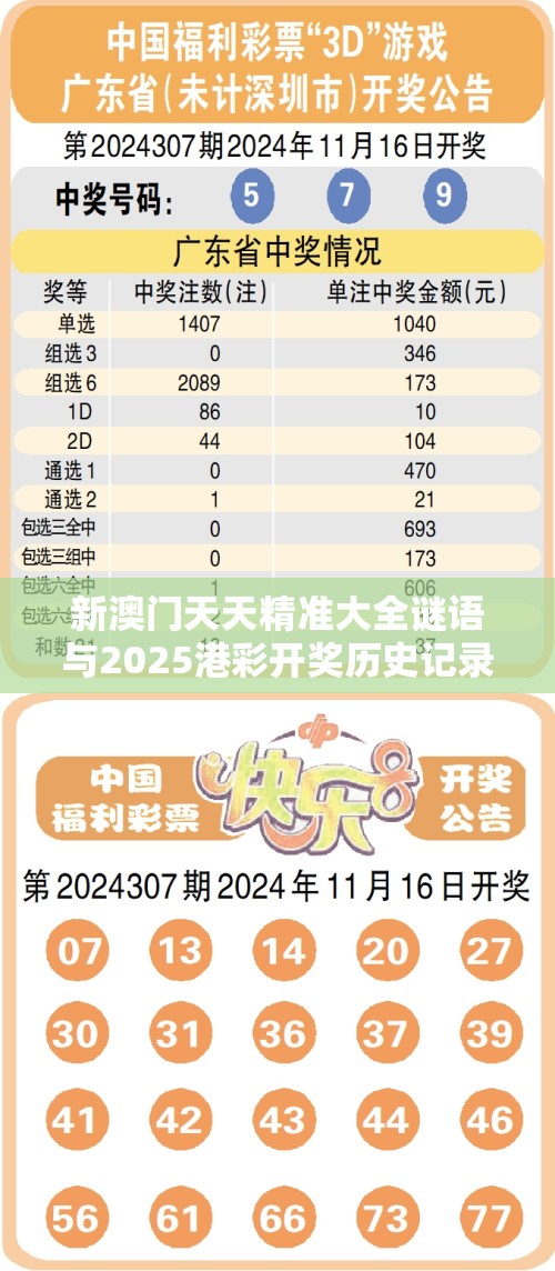 新澳门天天精准大全谜语与2025港彩开奖历史记录，效果解读、专家解析解释与落实
