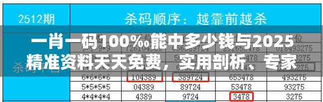 一肖一码100‰能中多少钱与2025精准资料天天免费，实用剖析、专家解读解释与落实?