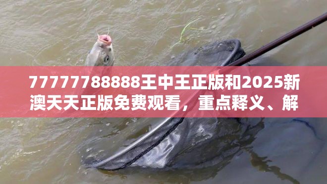 77777788888王中王正版和2025新澳天天正版免费观看，重点释义、解释与落实,警惕不实的钓鱼钩
