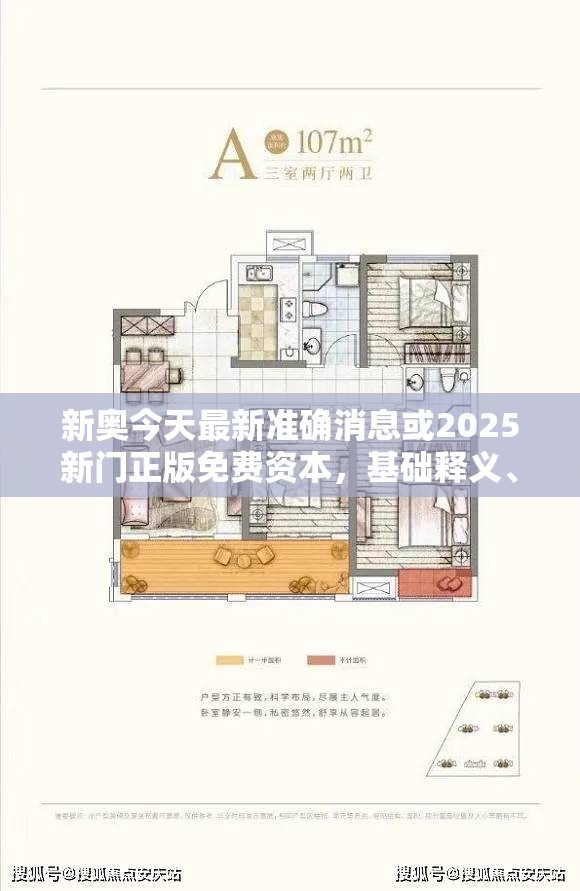 新奥今天最新准确消息或2025新门正版免费资本，基础释义、专家解析解释与落实?杜绝虚假诱导词