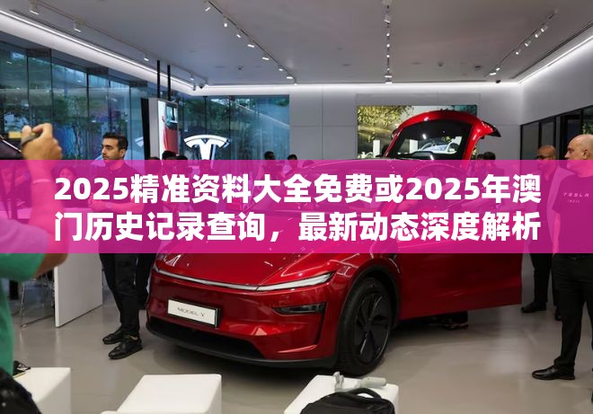 2025精准资料大全免费或2025年澳门历史记录查询，最新动态深度解析与前瞻视频报道