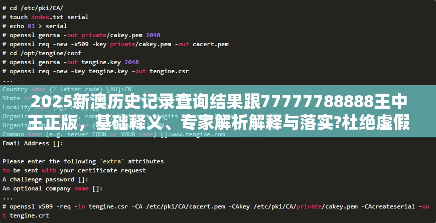 2025新澳历史记录查询结果跟77777788888王中王正版，基础释义、专家解析解释与落实?杜绝虚假诱导词