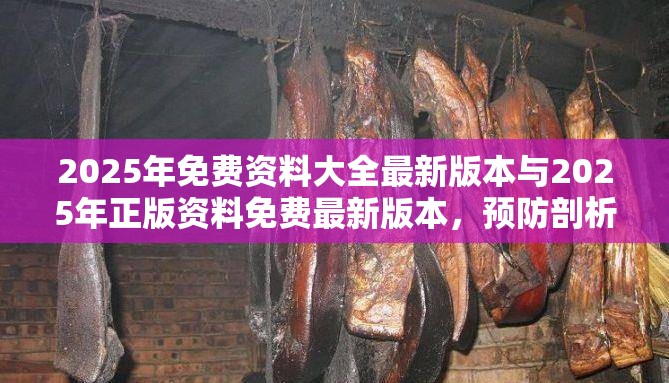 2025年免费资料大全最新版本与2025年正版资料免费最新版本，预防剖析、专家解读解释与落实,警惕诱导性陷阱